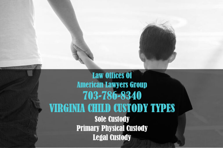 va child custody determination